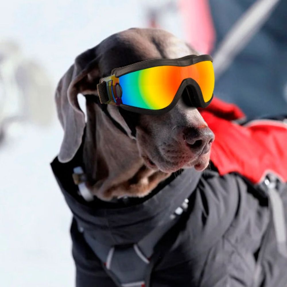 Windsor Knot Tie - Dog Accessories Adjustable Strap Dog Goggles